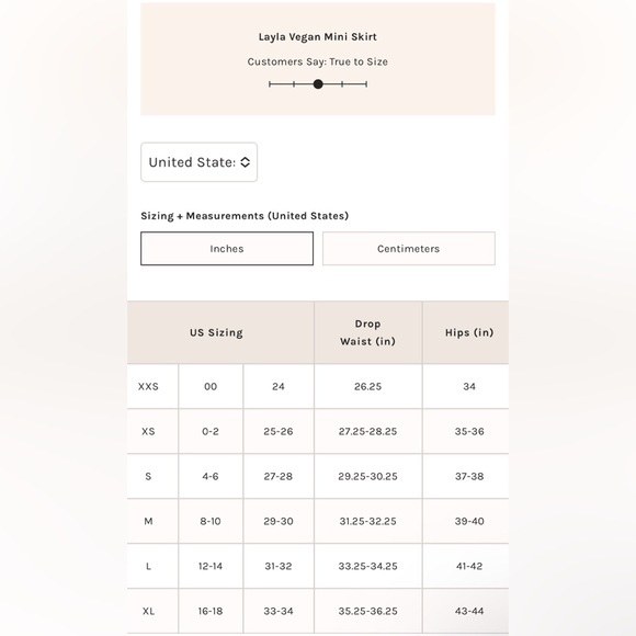 Free People Layla Mini Skirt Size 0 NWT - Picture 12 of 13